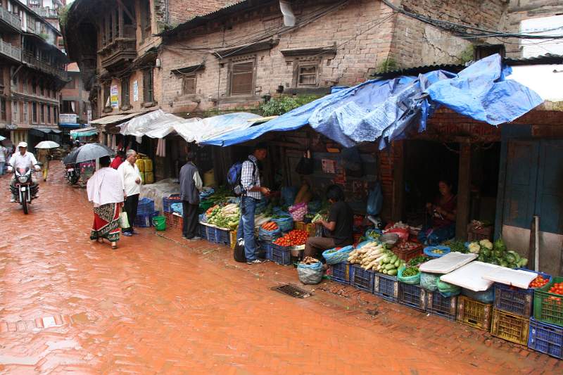 India & Nepal 2011 - 0316